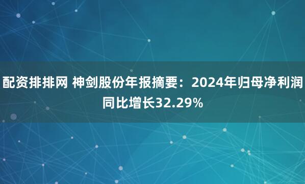 配资排排网 神剑股份年报摘要：2024年归母净利润同比增长32.29%
