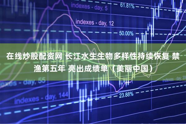 在线炒股配资网 长江水生生物多样性持续恢复 禁渔第五年 亮出成绩单（美丽中国）