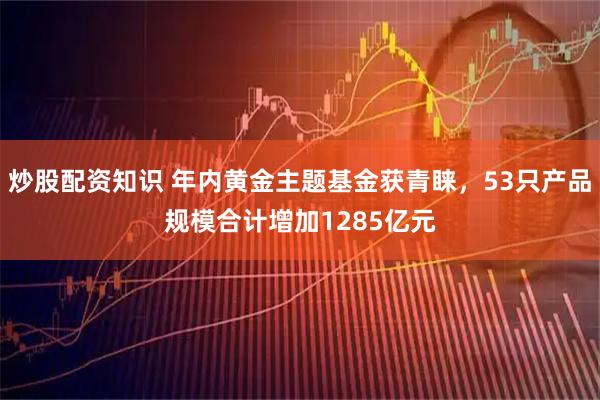 炒股配资知识 年内黄金主题基金获青睐，53只产品规模合计增加1285亿元