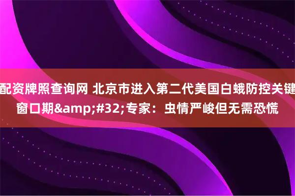 配资牌照查询网 北京市进入第二代美国白蛾防控关键窗口期 专家：虫情严峻但无需恐慌
